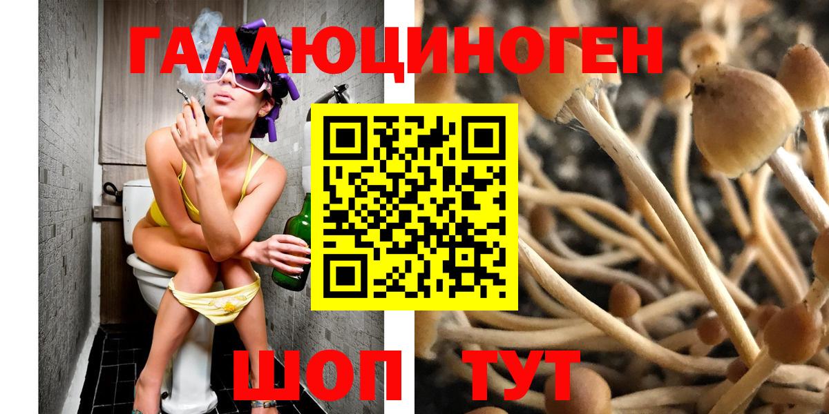 Луховицы  Псилоцибиновые грибы Cubensis  Вход с VPN 